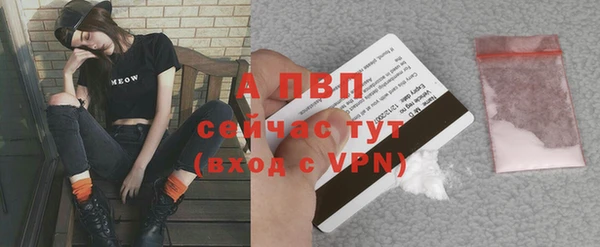дурь Вяземский