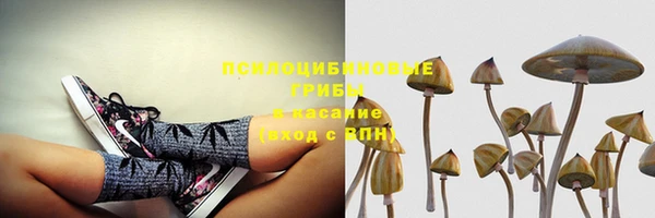 ECSTASY Новокубанск