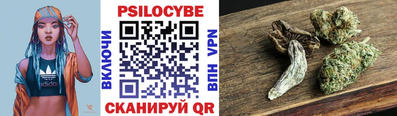 купить наркоту  МЕГА зеркало  Галлюциногенные грибы мухоморы  Трубчевск 